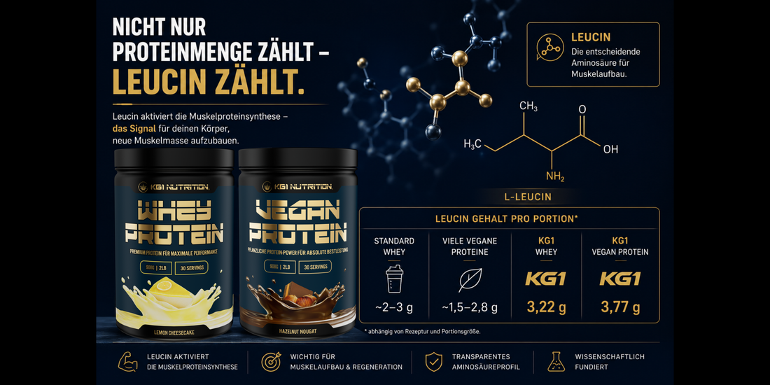 Warum der Leucingehalt entscheidet, ob dein Protein wirklich funktioniert